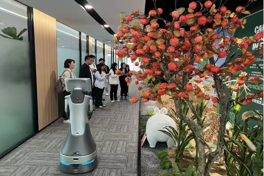 必赢766net手机版