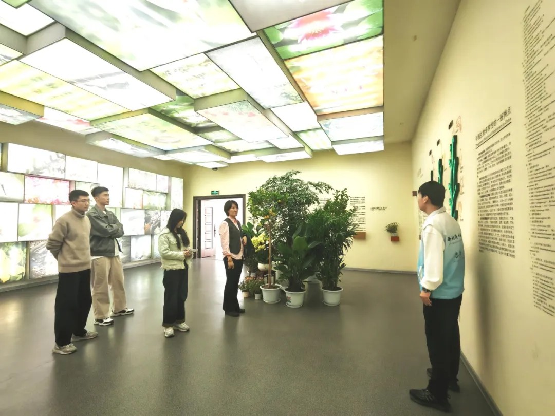 必赢766net手机版